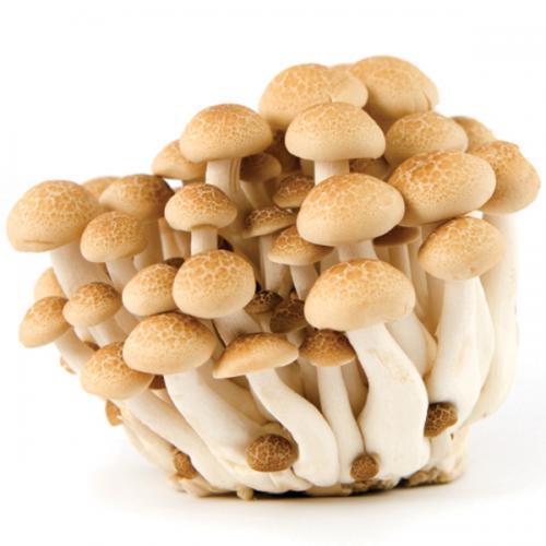 蟹味菇